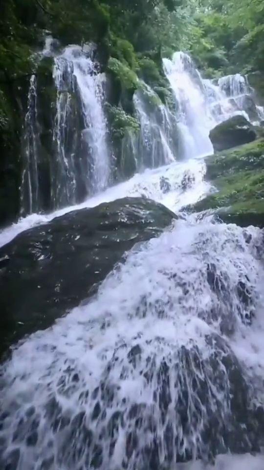 脑洞小老弟无实名认证